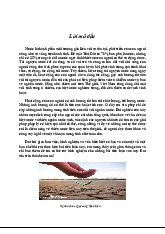 Tiểu luận về tài nguyên nước và vấn đề thiếu nước sạch | Công nghệ môi trường đại cương | Trường Đại học Khoa học Tự nhiên, Đại học Quốc gia Hà Nội