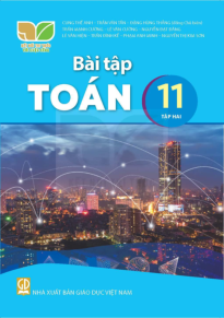 Sách bài tập Toán 11 - Tập 2 (Kết nối tri thức với cuộc sống)