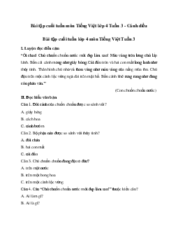 Giải Bài tập cuối tuần lớp 4 môn Tiếng Việt Cánh diều - Tuần 3