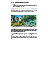 Các yếu tố ảnh hưởng đến quang hợp và năng suất cây trồng trong nông nghiệp