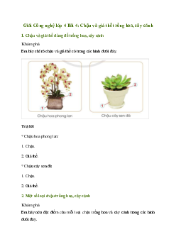 Giải Công nghệ lớp 4 Bài 4: Chậu và giá thể trồng hoa, cây cảnh | Cánh diều
