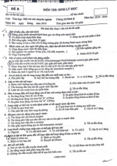 Đề thi môn sinh lý học năm 2018-2019 | Đại học Y Dược Huế