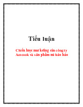 Tiểu luận chiến lược marketing của công ty Acecook và sản phẩm mì hảo hảo | Trường Đại học Kinh Bắc