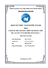 Giải Pháp Phát Triển Thị Trường Tiêu Thụ môn Quản trị tài chính | Trường Đại Học Thái Nguyên