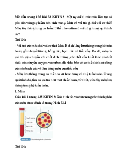 Giải Khoa học tự nhiên 8 bài 33: Máu và hệ tuần hoàn của cơ thể người | Kết nối tri thức