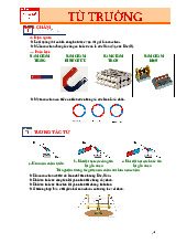 Tương tác từ và cảm ứng điện từ | Hoá sinh | Trường Đại học Khoa học Tự nhiên, Đại học Quốc gia Hà Nội