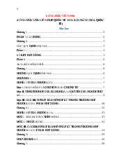 CÔNG ƯỚC CỦA LIÊN HỢP QUỐC VỀ MUA BÁN HÀNG HÓA QUỐC TẾ