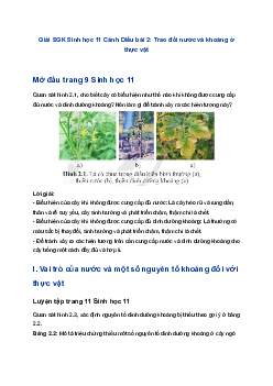 Giải SGK Sinh học 11 Cánh Diều bài 2: Trao đổi nước và khoáng ở thực vật