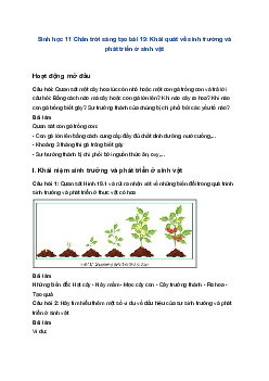 Sinh học 11 Chân trời sáng tạo bài 19: Khái quát về sinh trưởng và phát triển ở sinh vật