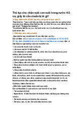 Thủ tục cho nhận nuôi con nuôi trong nước: Hồ sơ, giấy tờ cần chuẩn bị là gì?