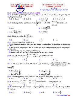 Đề thi giữa HK2 Toán 11 năm 2018 – 2019 trường Newton – Hà Nội