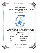 Tiểu luận 2: Kế hoạch Kinh doanh cho Unilever VN | Phân tích báo cáo tài chính