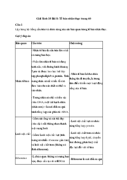 Sinh học 10 Bài 8: Tế bào nhân thực - Kết Nối Tri Thức