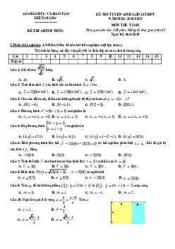 Đề tuyển sinh lớp 10 THPT năm 2019 – 2020 môn Toán sở GD&ĐT Kiên Giang