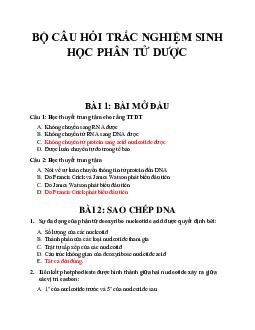 Bộ câu hỏi trắc nghiệm ôn tập môn Sinh học phân tử theo từng chương cụ thể có đáp án