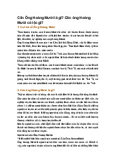 Căn Ông Hoàng Mười là gì? Căn ông Hoàng Mười có lộc gì?