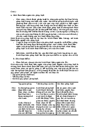 Hình thức bên ngoài pháp luật môn Pháp Luật Đại Cương | Đại Học Hà Nội