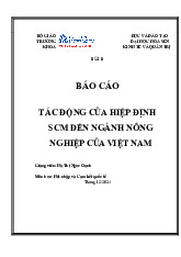 Báo cáo tác động của Hiệp định SCM đến Ngành Nông Nghiệp Việt Nam | Báo cáo Hội nhập và Cam kết quốc tế