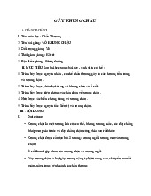 Bài Giảng Vỡ Khung Chậu - Chấn Thương Y6 môn Giải phẫu | Trường Đại Học Y Dược Thái Bình