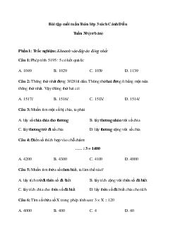 Phiếu bài tập cuối tuần Toán lớp 3 - Tuần 30 ( cơ bản ) |  Cánh Diều