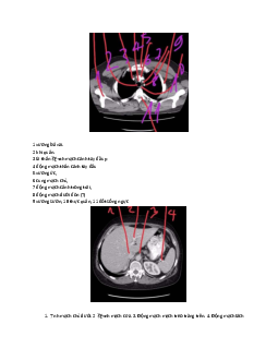 Tài liệu Giải phẫu cơ thể | Trường Đại học Kỹ thuật Y - Dược Đà Nẵng