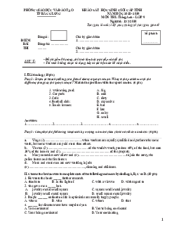 Đề thi chọn học sinh giỏi Tiếng Anh 9 tỉnh Bắc Giang năm học 2018-2019
