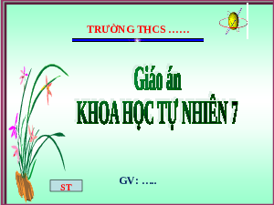 Giáo án điện tử Khoa học tự nhiên 7 bài 4  Kết nối tri thức : Ôn tập Chương 4