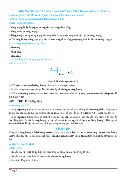 Trắc nghiệm chuyển hóa vật chất và năng lượng trong tế bào (có đáp án)