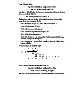 Trò chơi học tập: Ô chữ về Bề mặt Trái Đất, TN & XH lớp 3, Cánh Diều
