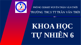Giáo án điện tử Khoa học tự nhiên 6 bài 2 Chân trời sáng tạo : Các lĩnh vực chủ yếu của khoa học tự nhiên