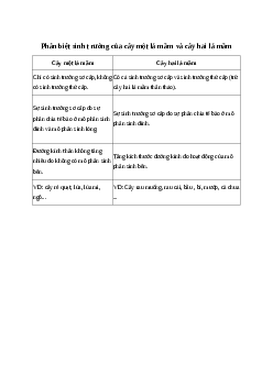 Phân biệt kiểu sinh trưởng của cây một lá mầm và cây hai lá mầm| Kết nối trị thức