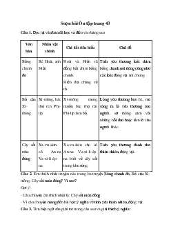 Soạn bài Ôn tập trang 43 - Chân trời sáng tạo