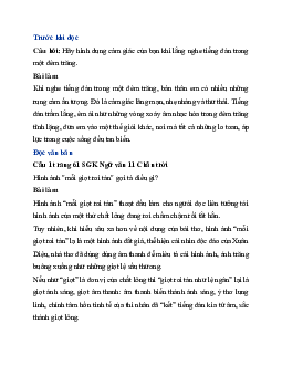 Soạn bài Nguyệt cầm | Ngữ văn 11 Chân trời sáng tạo