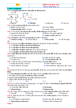 Đề ôn thi HK1 môn Sinh 10 Kết nối tri thức-Đề 6 (có đáp án)