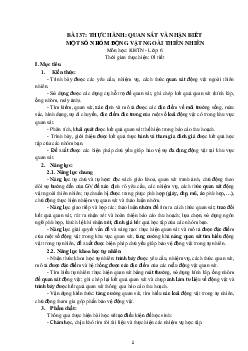 Giáo án Khoa học tự nhiên 6 sách Kết nối tri thức với cuộc sống Bài 37