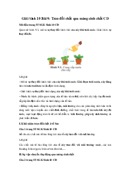 Giải Sinh 10 Bài 9: Trao đổi chất qua màng sinh chất | Cánh diều