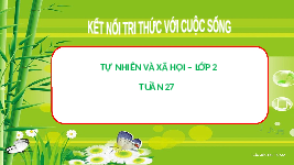 Giáo án điện tử Tự nhiên và Xã hội 2 Bài 24 Kết nối tri thức: Chăm sóc, bảo vệ cơ quan hô hấp