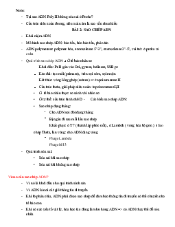 Lý thuyết môn Sinh học phân tử nội dung về "Sao chép ADN"