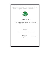 Tiểu Luận: Nguyên Lý Về Mối Liên Hệ Phổ Biến - Triết Học Mác-Lênin | Đại học Lâm nghiệp