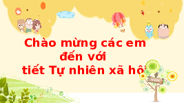 Giáo án điện tử Tự nhiên và Xã hội 2 Bài 4 Kết nối tri thức: Giữ sạch nhà ở