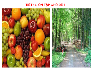Bài giảng điện tử môn Công nghệ 7 Ôn tập Chủ đề 1: Trồng trọt và lâm nghiệp (Tiết 17) | Cánh diều