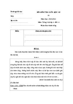 Đề thi Tiếng Việt giữa kì 2 lớp 4 sách Kết nối tri thức - Đề 5