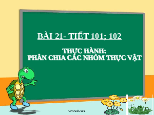 Giáo án điện tử Khoa học tự nhiên 6 bài 26 Kết nối tri thức : Khóa lưỡng phân