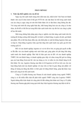 Hoạt động Logistics trong TMĐT tại Công ty Panama | Bài thảo luận quản trị chuỗi cung ứng