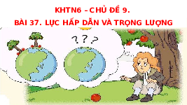 Giáo án điện tử Khoa học tự nhiên 6 bài 37 Chân trời sáng tạo : Lực hấp dẫn và trọng lượng