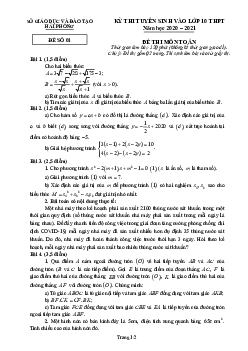 Đề tuyển sinh lớp 10 THPT môn Toán năm 2020 – 2021 sở GD&ĐT Hải Phòng