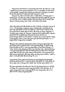 Lý thuyết môn Hệ gen