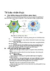 Tế bào nhân thực - Đặc điểm và Cấu trúc CT2018