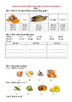 Đề thi Trạng nguyên Tiếng Việt lớp 1 năm 2023 - 2024 Vòng 3