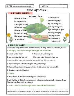 Bài tập cuối tuần Tiếng Việt lớp 3 Kết nối tri thức cả năm